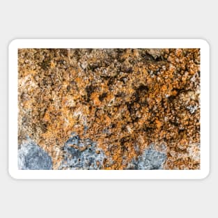 Rustic Seaside Erosion Texture Sticker